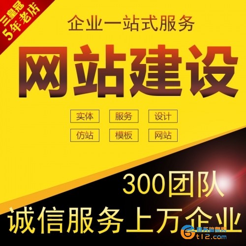 网站建设分类信息门户类企业类定制网站开发设计网页设计